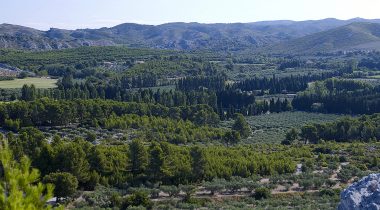 Provence Tourisme joue la carte du réseau, carton plein pour la Région Sud !