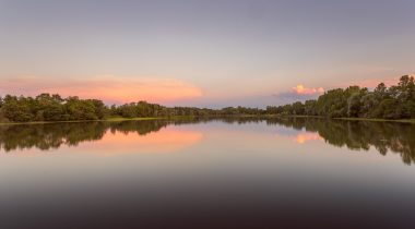 Comment fédérer son équipe interne autour d'Apidae Tourisme ? L'histoire de Dombes Tourisme