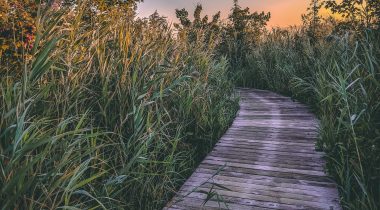 Stratégie numérique au service des touristes et locaux : les dessous du site d’Aunis Marais Poitevin