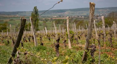 Comment saisir les données liées à l’oenotourisme ?