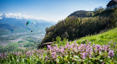 Gagner du temps et mieux former grâce à l’historique des fiches : retour d’expérience de l’OT Belledonne-Chartreuse
