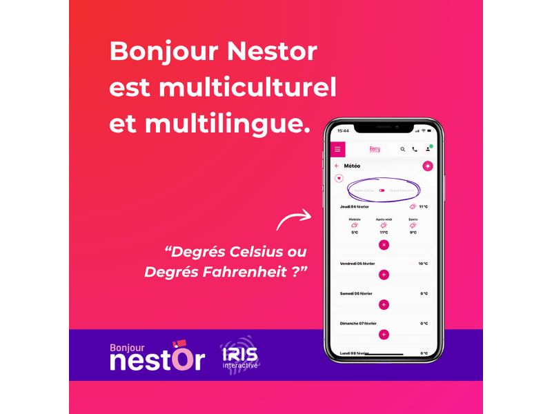 Bonjour Nestor