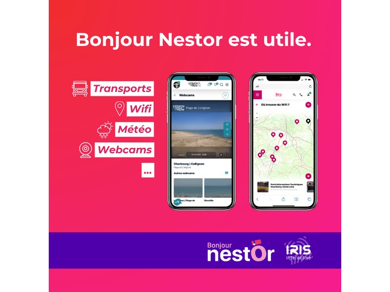 Bonjour Nestor