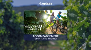 🎯 Vignobles en Scène : quand le coaching Apidae transforme un projet en expérience œnotouristique